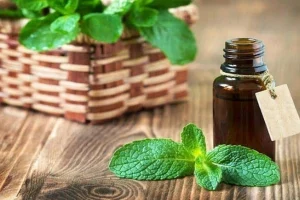  Sự hiện diện của côn trùng luôn là một vấn đề gây phiền toái và tiềm ẩn nhiều nguy cơ cho sức khỏe. Để giải quyết vấn đề này, nến thơm đuổi côn trùng đã trở thành một giải pháp tự nhiên, hiệu quả, được nhiều người tin dùng.