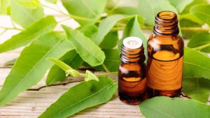  Sự hiện diện của côn trùng luôn là một vấn đề gây phiền toái và tiềm ẩn nhiều nguy cơ cho sức khỏe. Để giải quyết vấn đề này, nến thơm đuổi côn trùng đã trở thành một giải pháp tự nhiên, hiệu quả, được nhiều người tin dùng