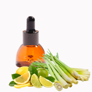  Sự hiện diện của côn trùng luôn là một vấn đề gây phiền toái và tiềm ẩn nhiều nguy cơ cho sức khỏe. Để giải quyết vấn đề này, nến thơm đuổi côn trùng đã trở thành một giải pháp tự nhiên, hiệu quả, được nhiều người tin dùng.