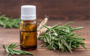  Sự hiện diện của côn trùng luôn là một vấn đề gây phiền toái và tiềm ẩn nhiều nguy cơ cho sức khỏe. Để giải quyết vấn đề này, nến thơm đuổi côn trùng đã trở thành một giải pháp tự nhiên, hiệu quả, được nhiều người tin dùng